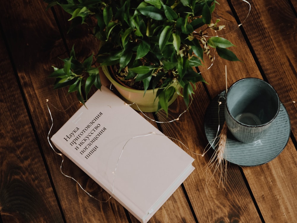 white book on brown wooden table