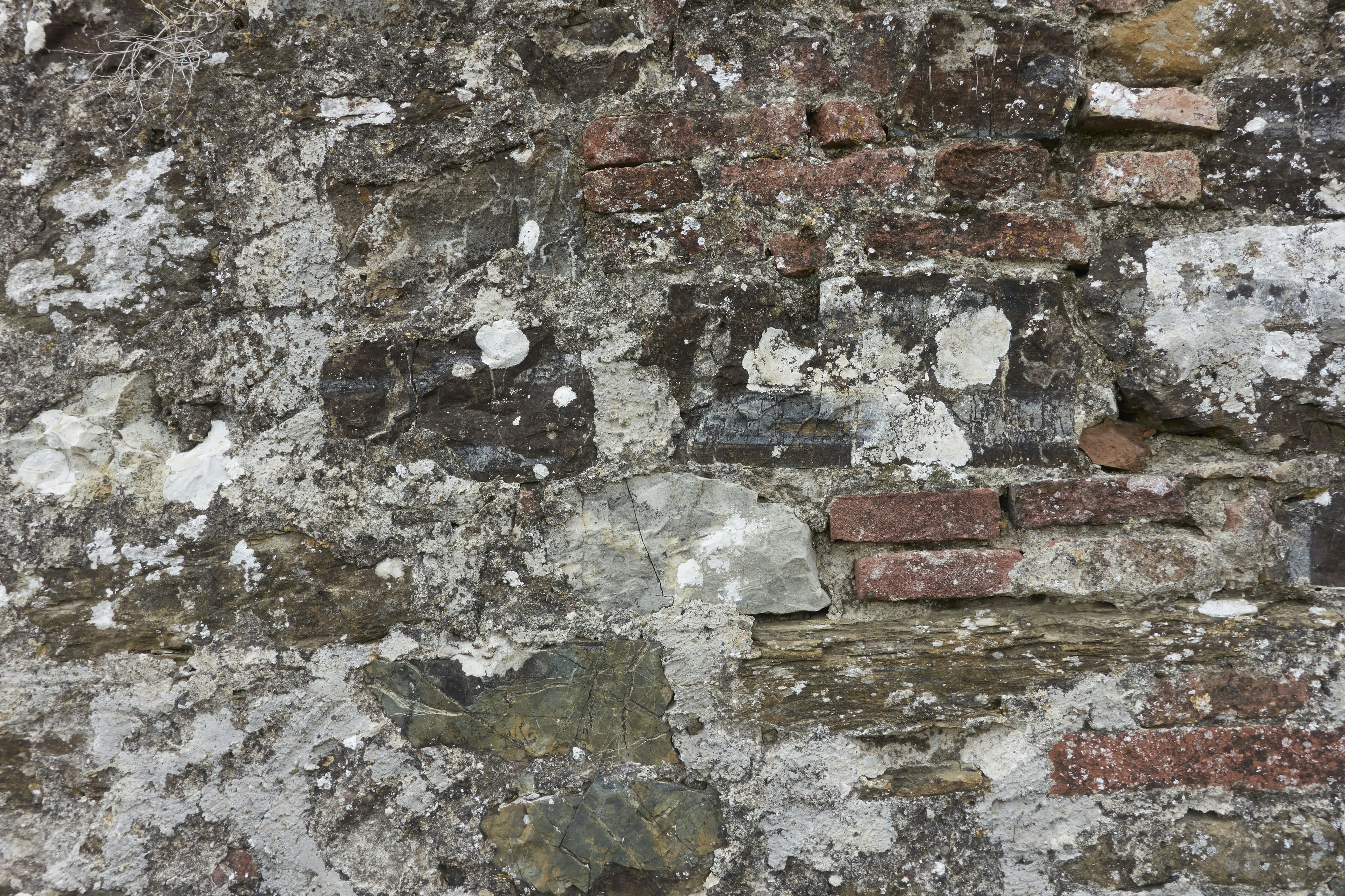 Photo by wolfgang_hasselmann