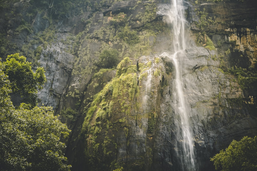 waterfalls in the middle of the forest