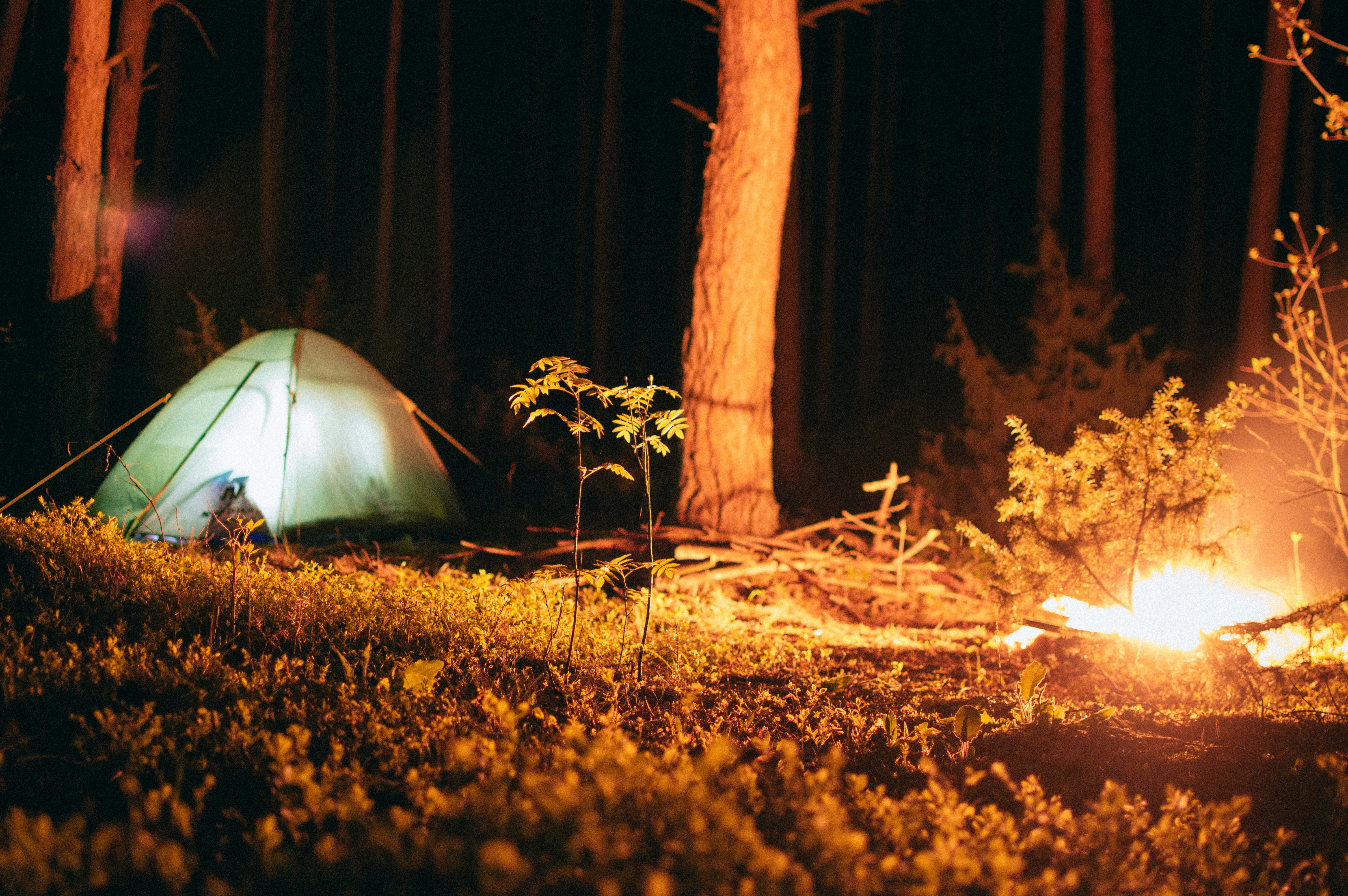 art stealth camping leave trace camping outdoor wilderness
, The Art of Stealth Camping: Leave No Trace, Enjoy More 8