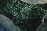 Folate