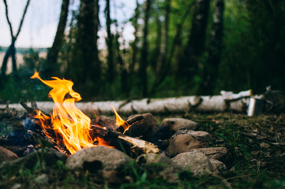 fire on gray rocks during daytime