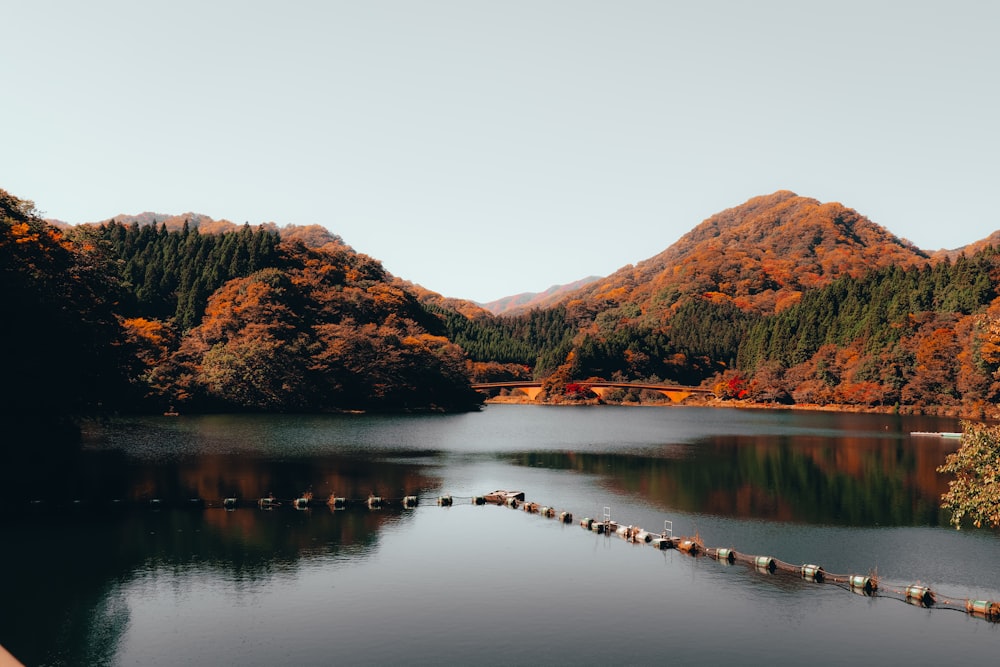 Lago cerca de la montaña durante el día