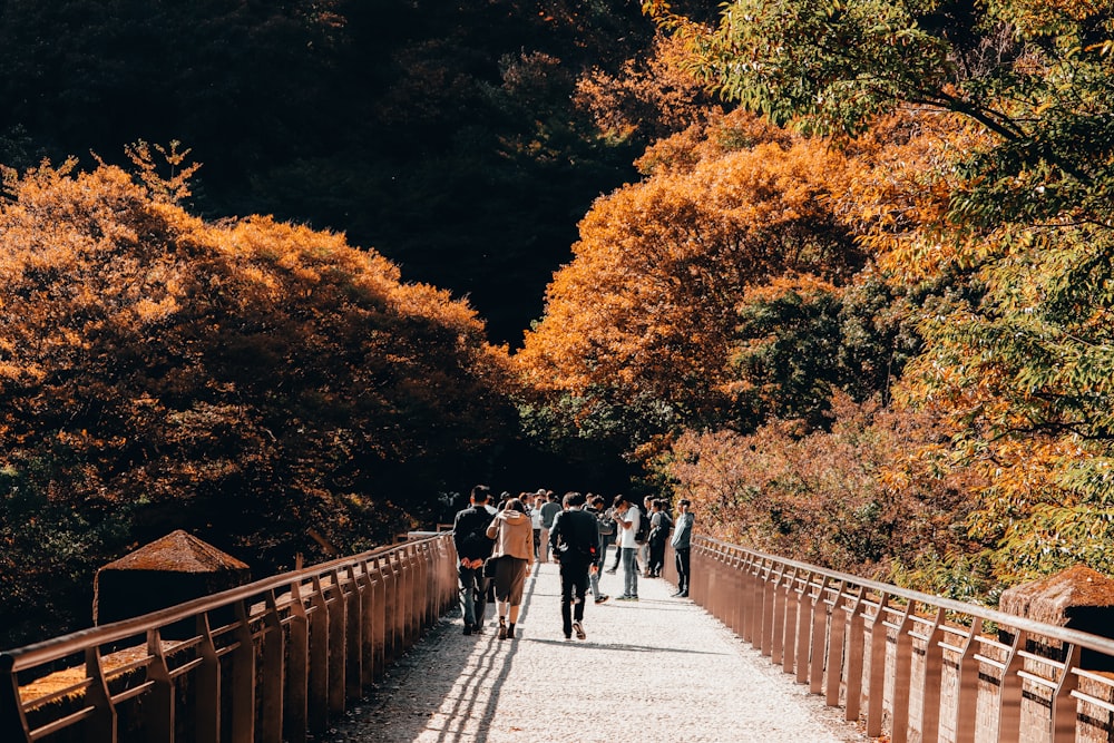 people walking on gray concrete bridge between trees during daytime