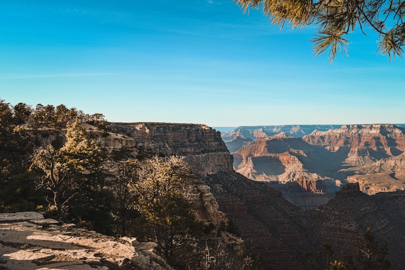 green tree on brown rocky mountain under blue sky during daytime