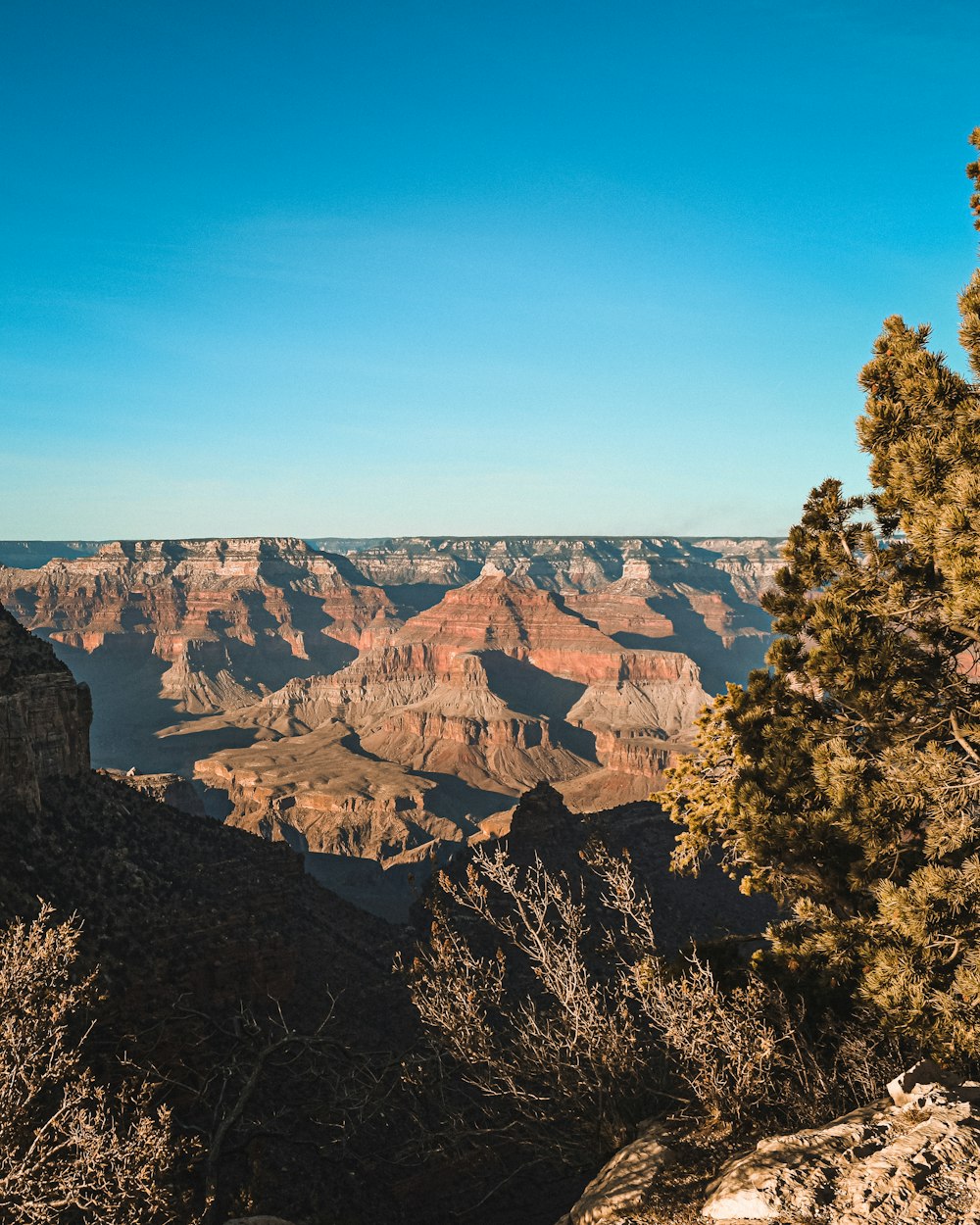 green trees on brown mountain under blue sky during daytime