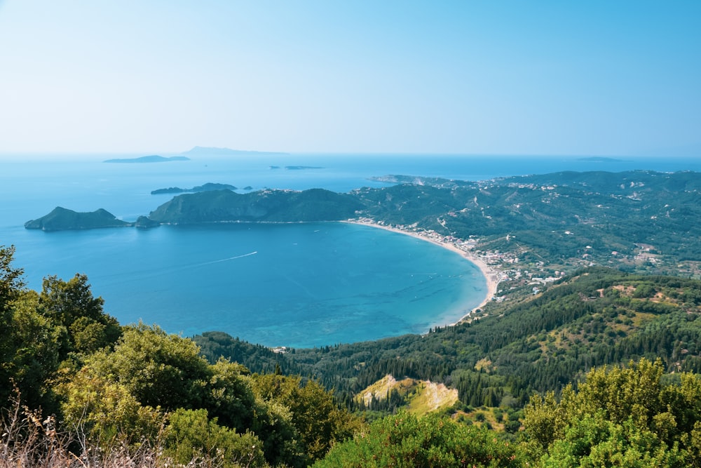 昼間の青空の下、青い海辺の緑の木々