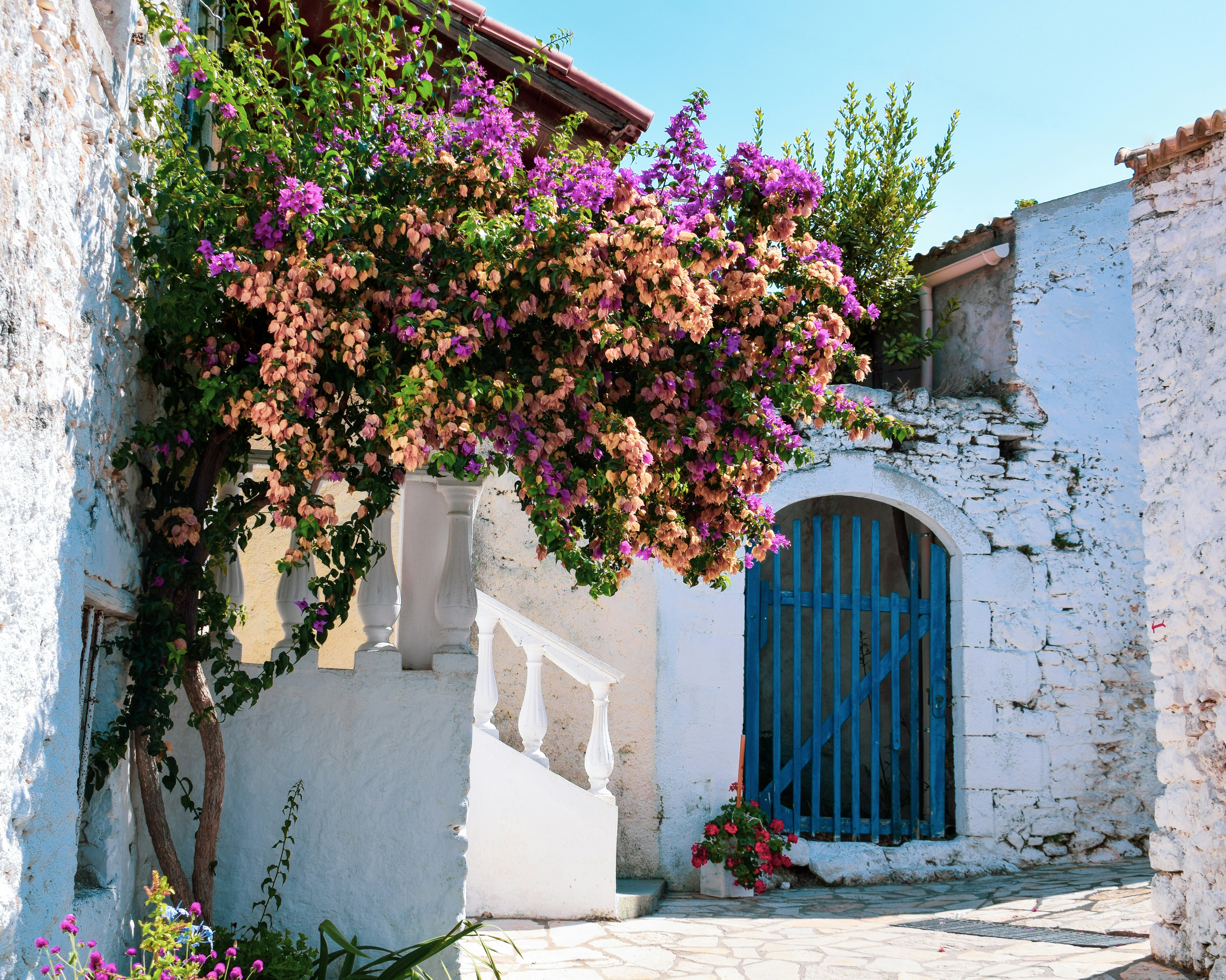 Photo by shinychunks