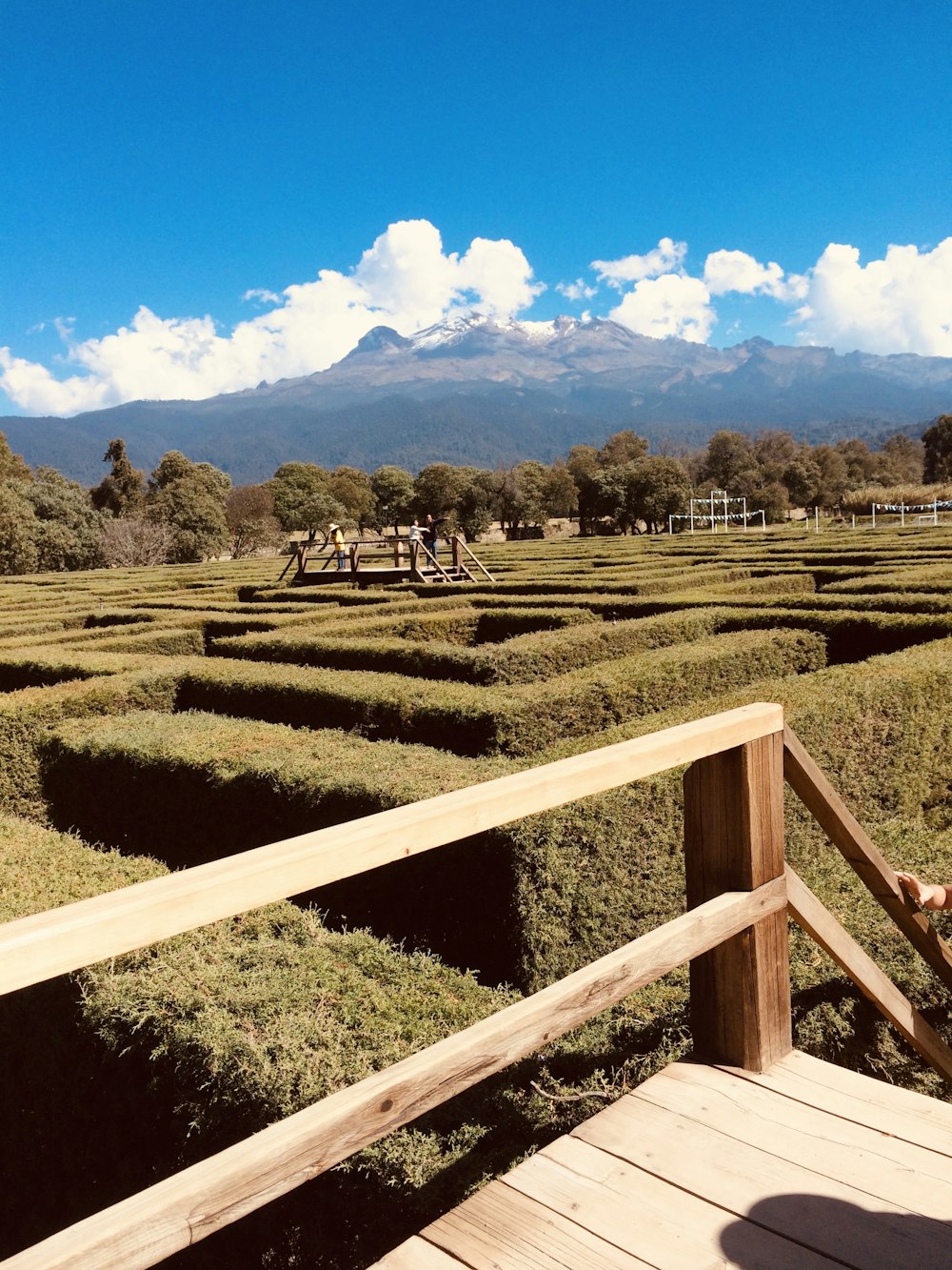 Campo de hierba verde bajo el cielo azul durante el día