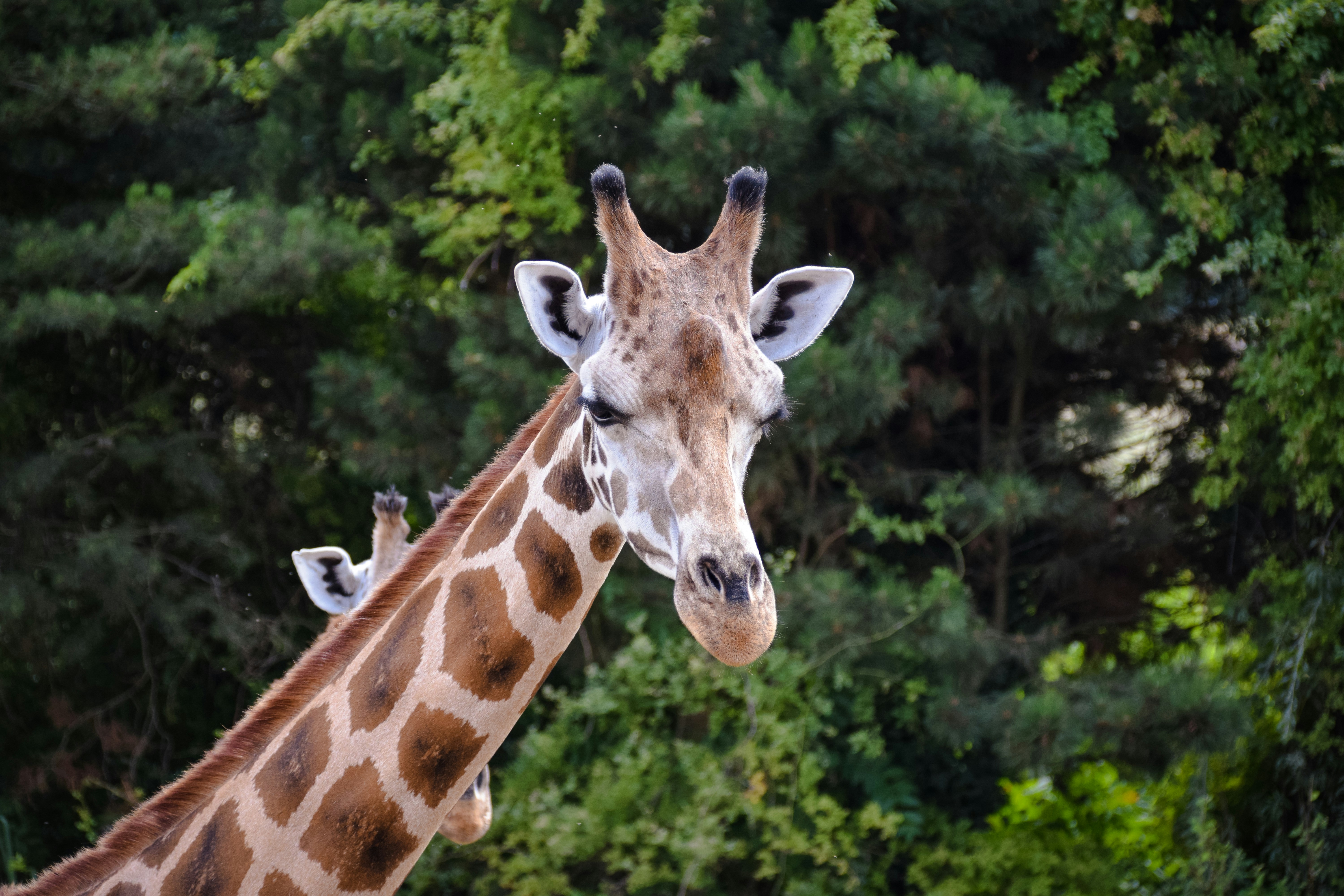 Photo by shinychunks