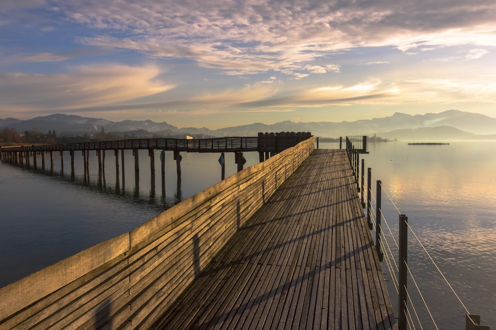 brown wooden dock on body of water during daytime