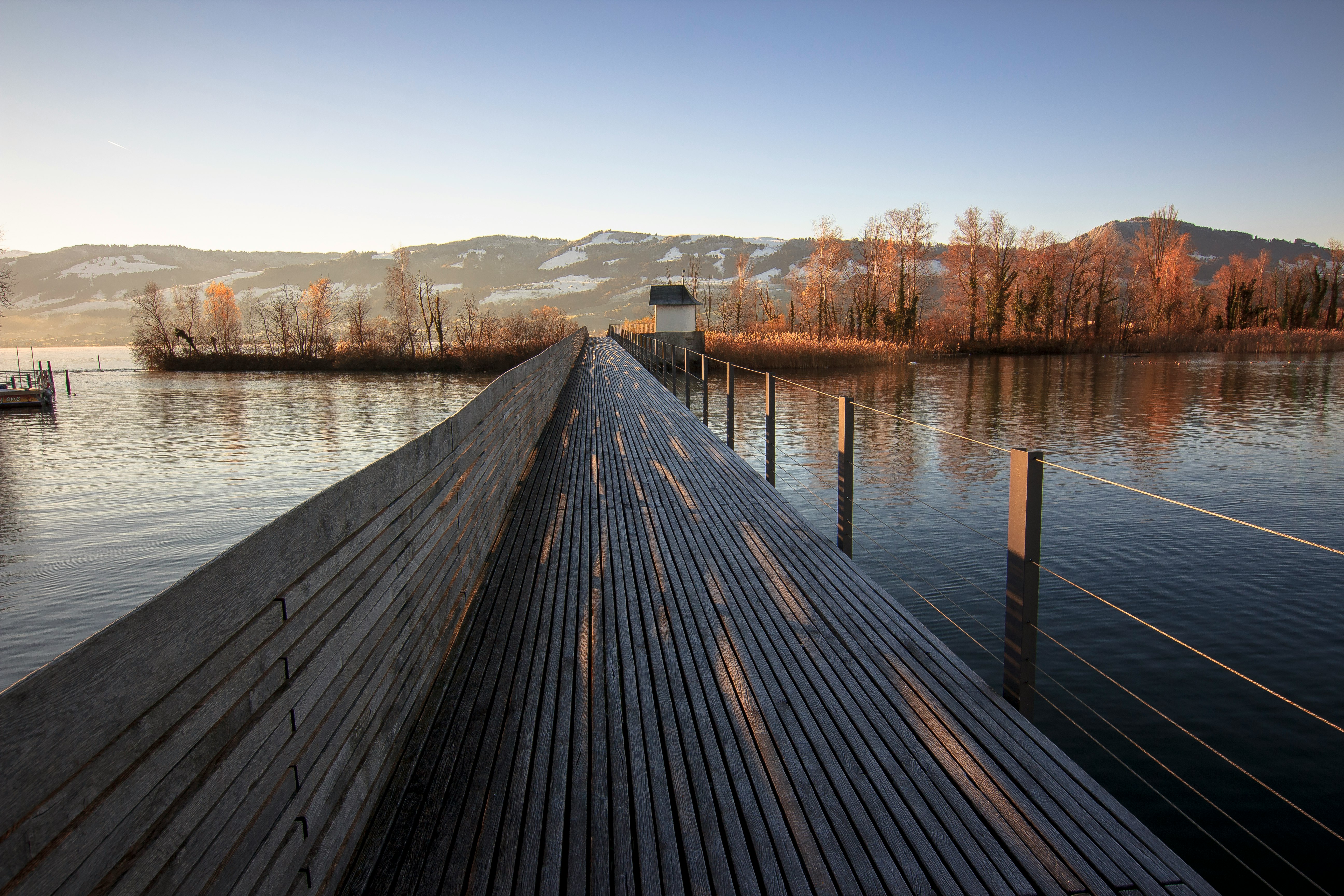 brown wooden dock on lake during daytime