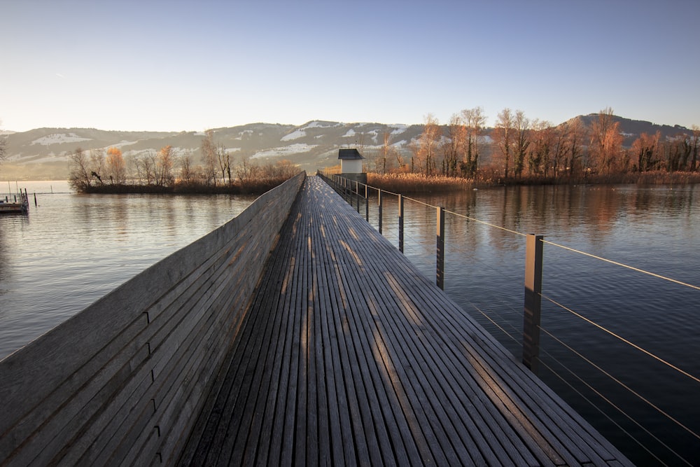 brown wooden dock on lake during daytime