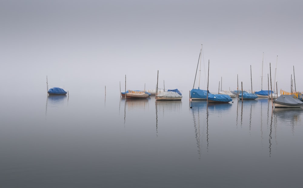 white and blue boats on sea during daytime