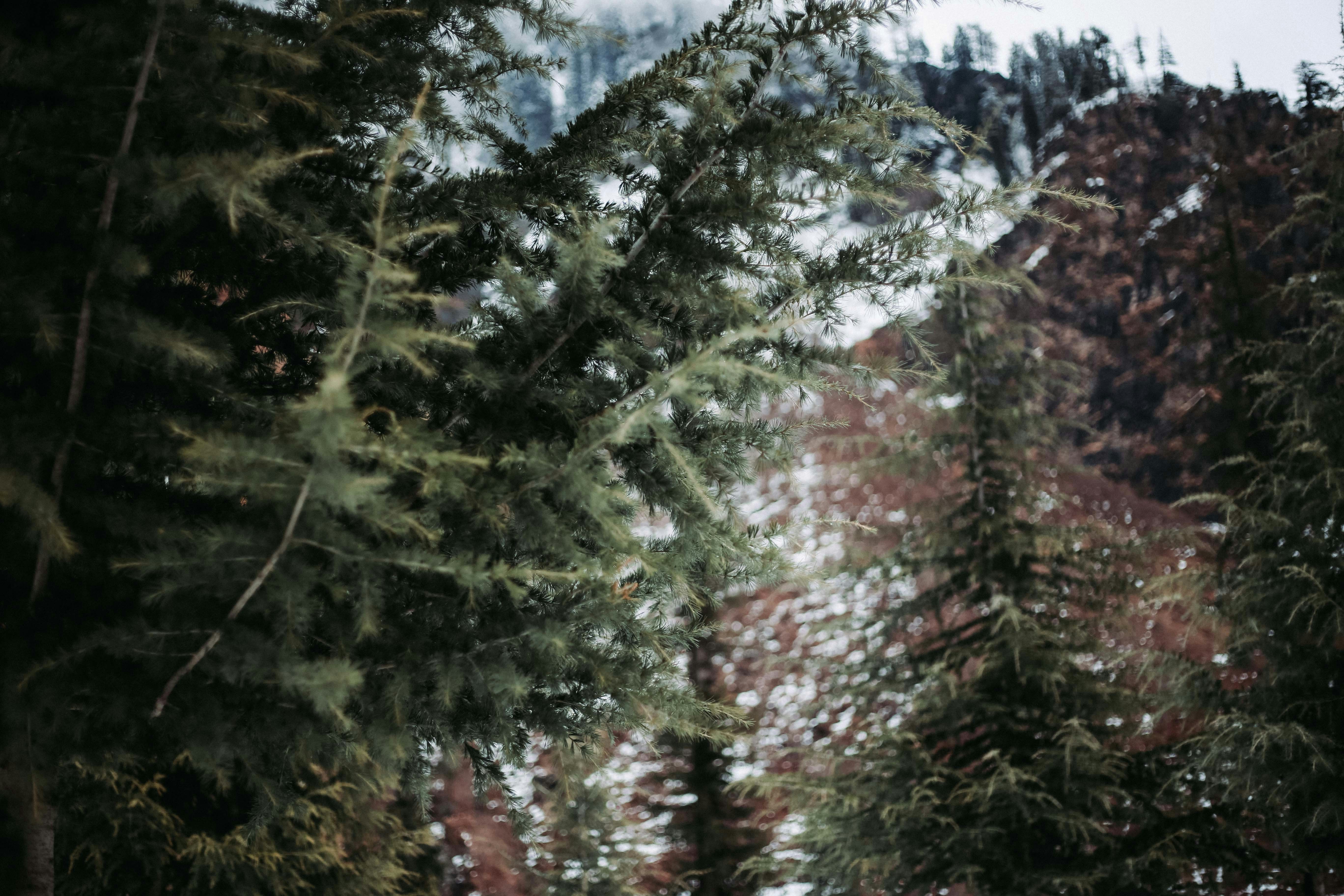 Photo by maahidphotos