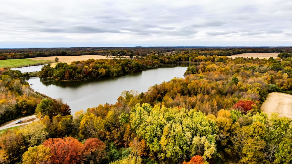 green and yellow trees beside river under cloudy sky during daytime