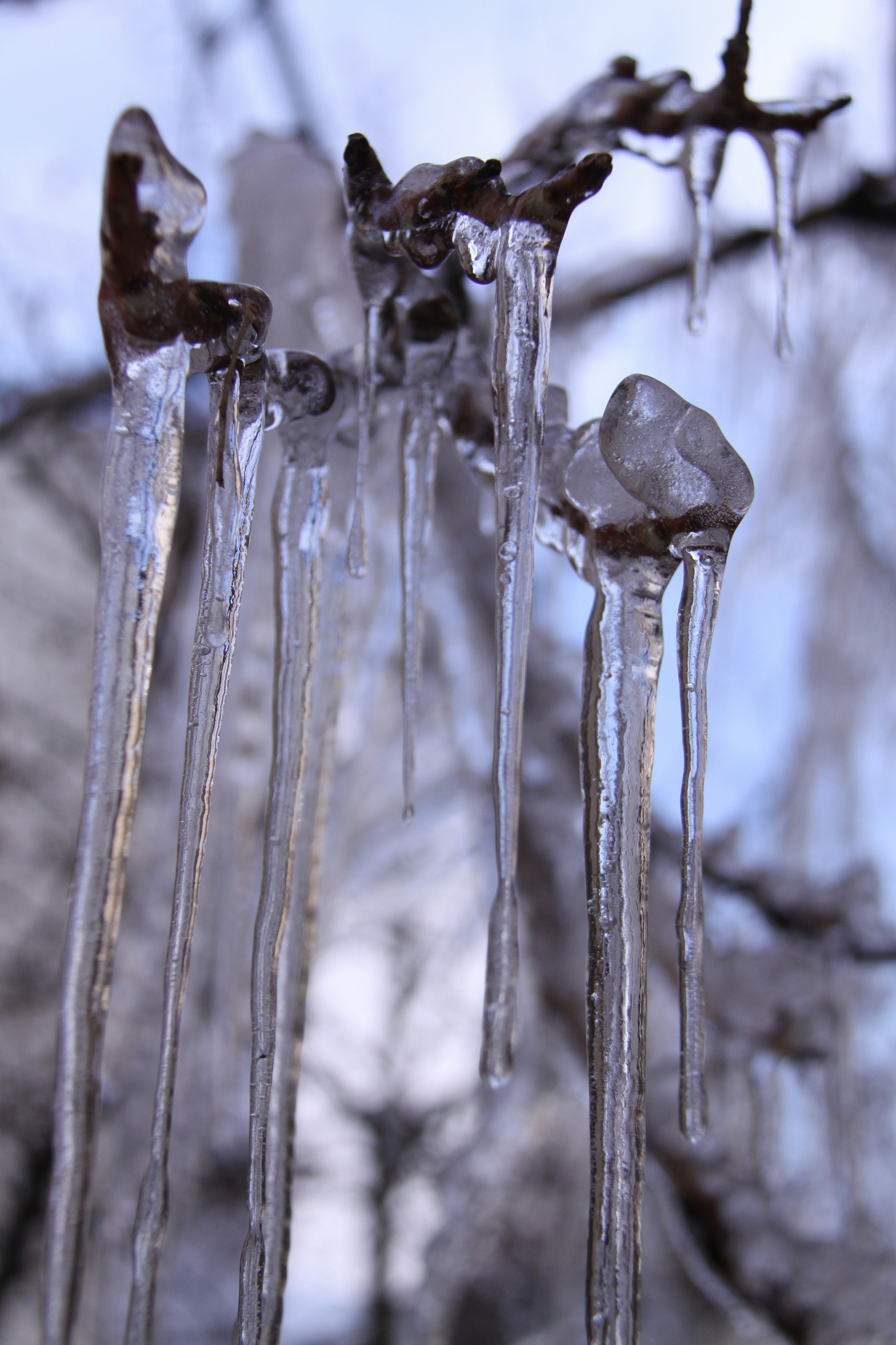 Photo by khadydemon7