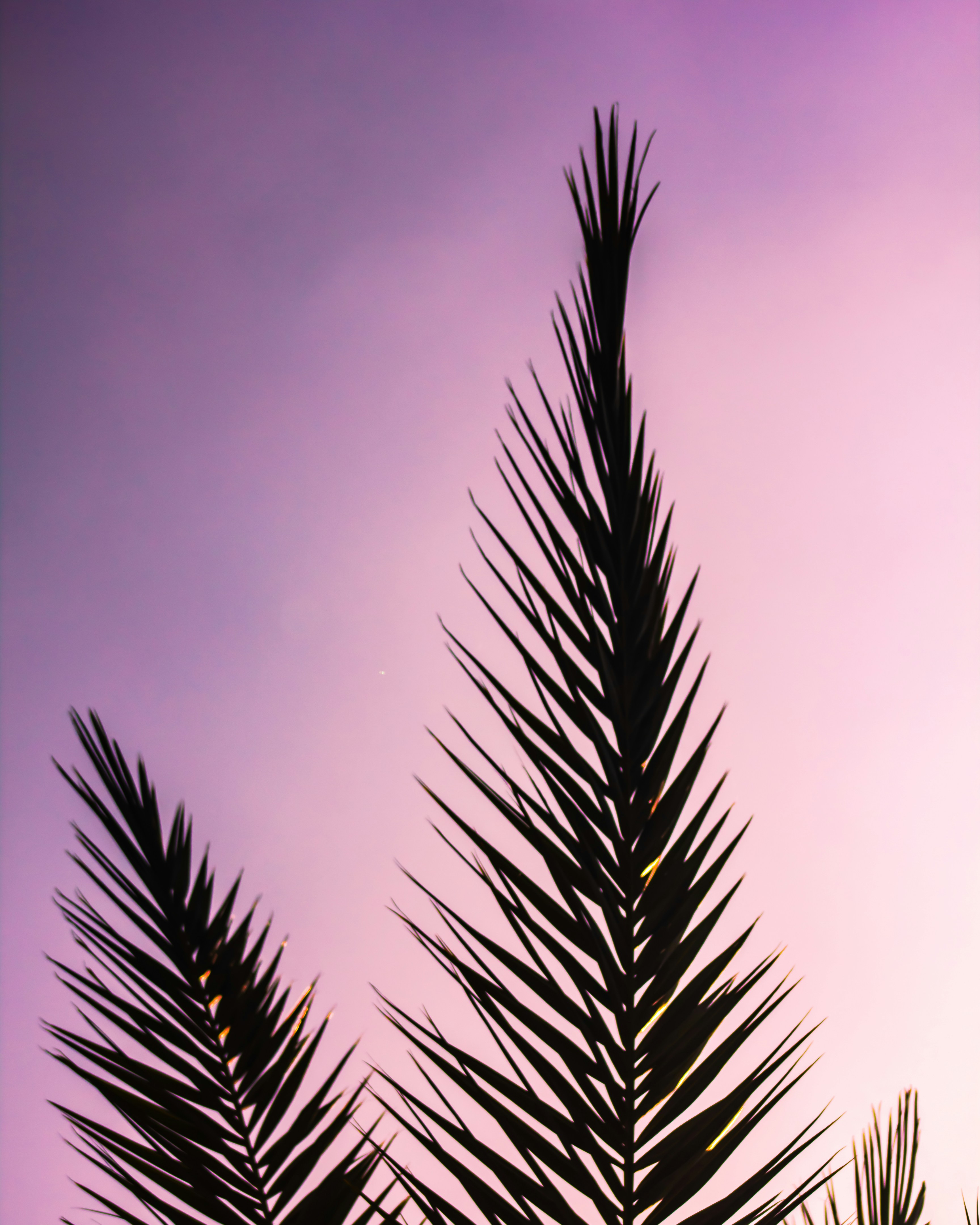 Photo by haxxad2726