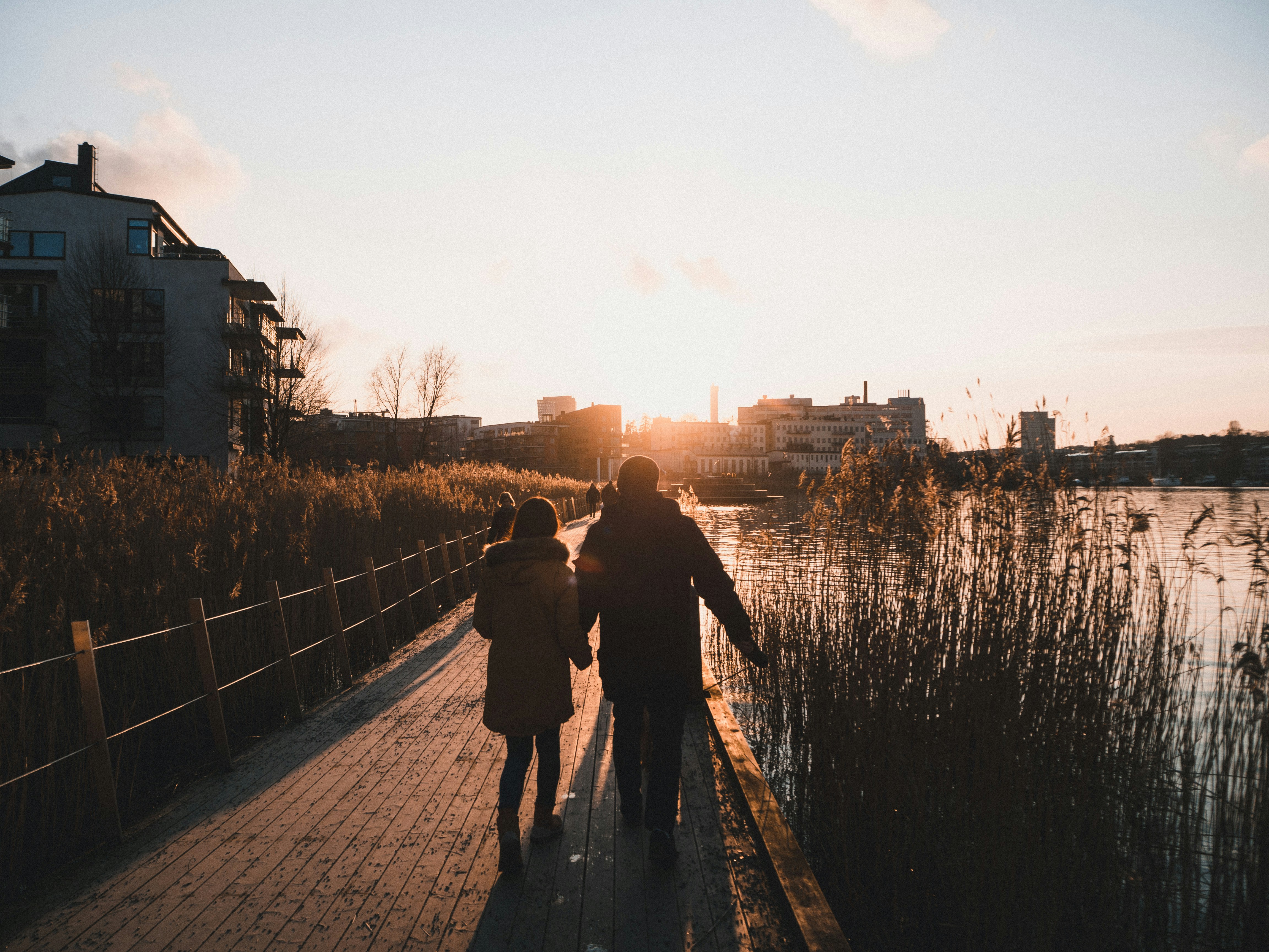 Ripio Credit Network header image