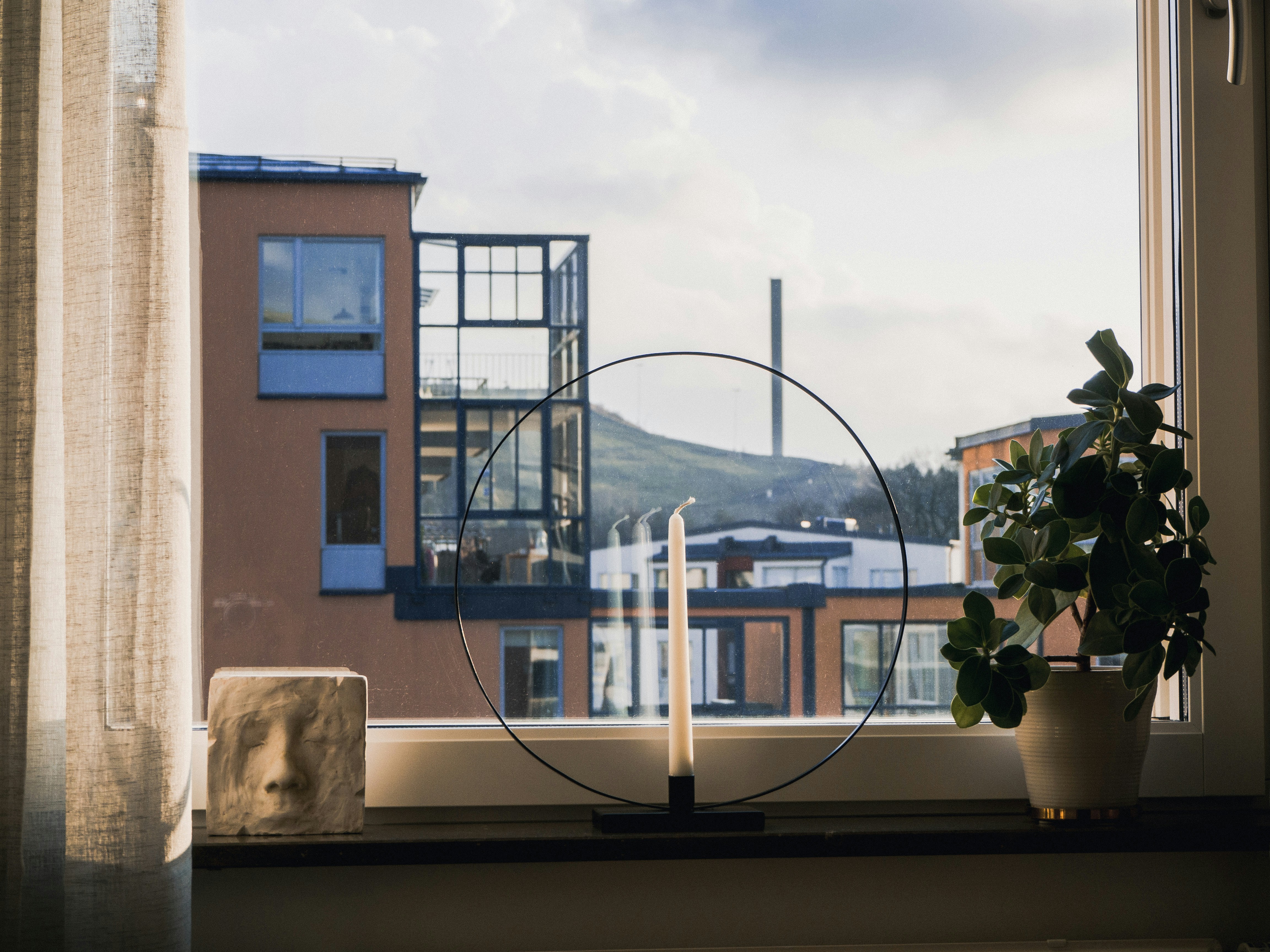 Planta verde sobre mesa de madera marrón