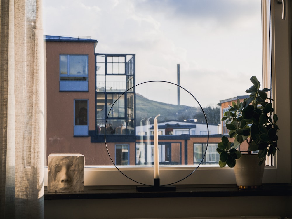 green plant on brown wooden table