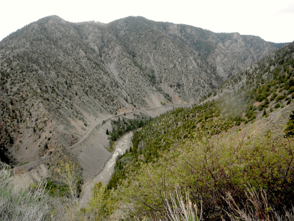 green grass on mountain during daytime