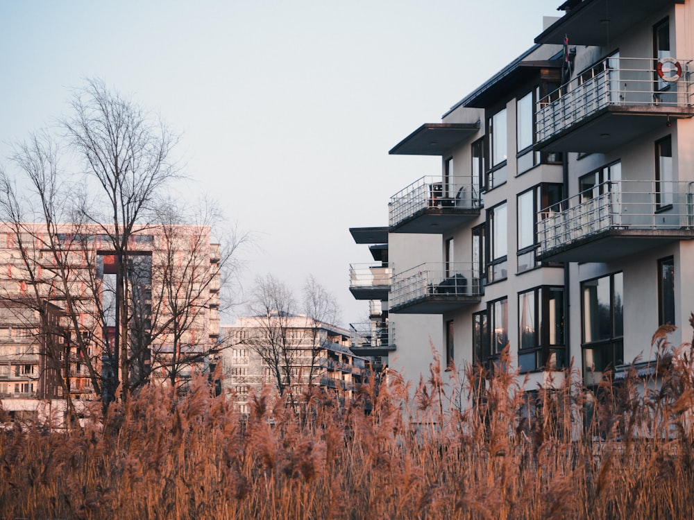 white and black concrete building near bare trees under blue sky during daytime