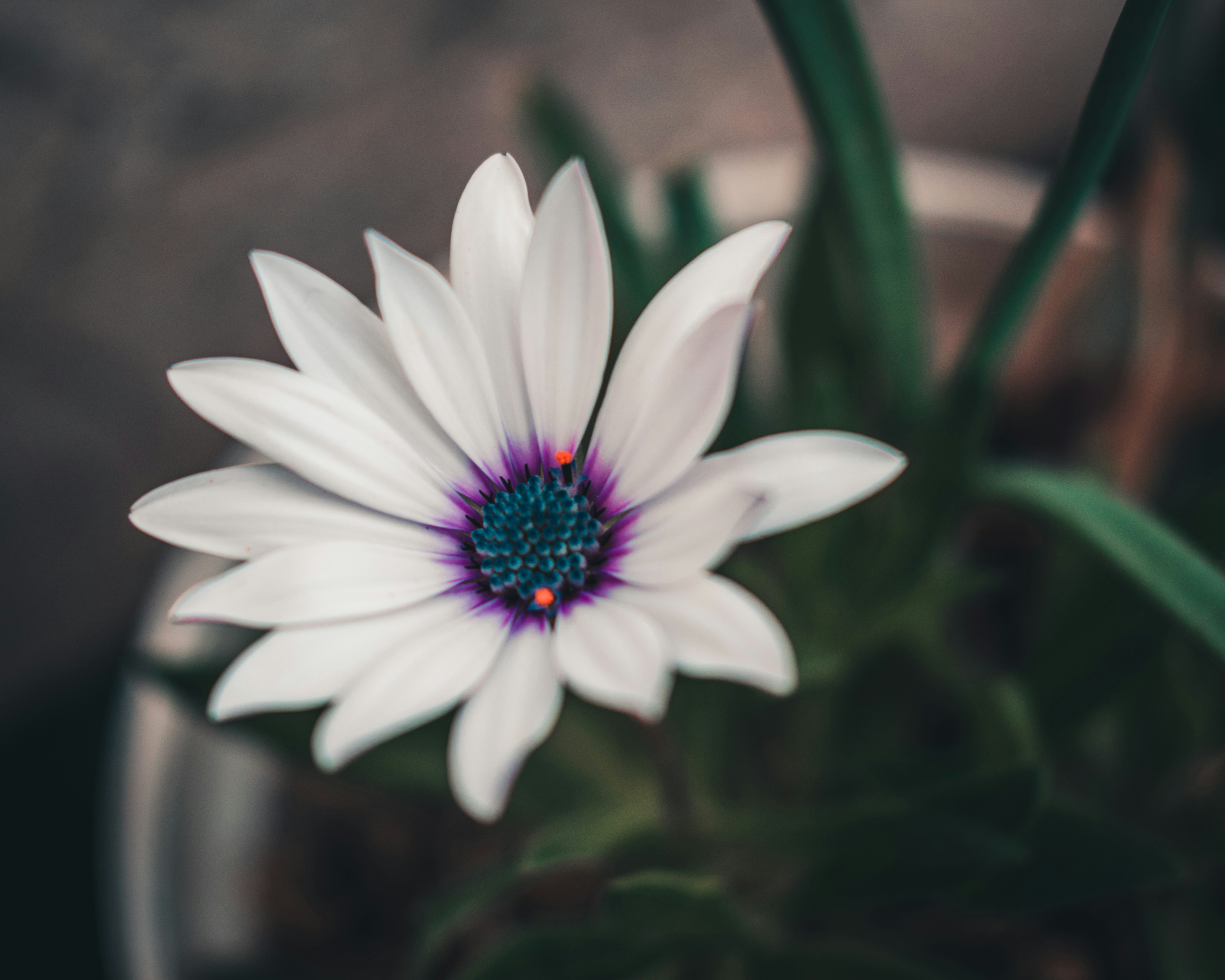 Photo by bilal_ayadi