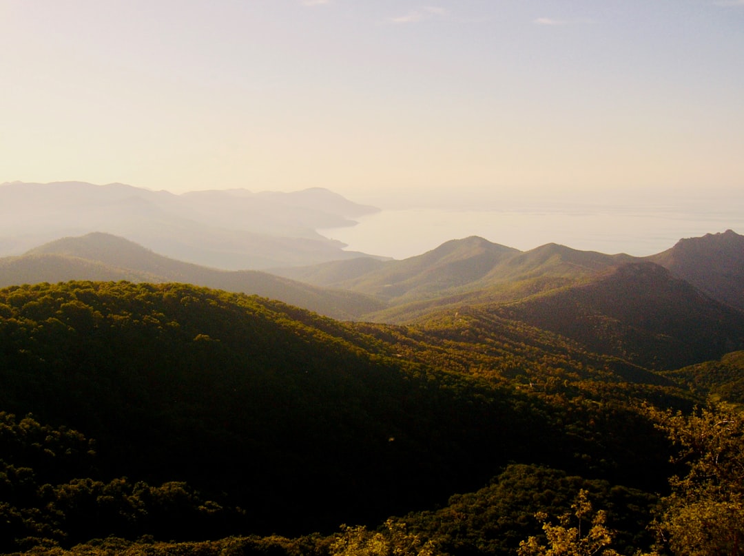 green mountains under blue sky during daytime, Seraïdi - mediterranean coast in northeast Algeria, near Annaba<p></figure>made by rouichi / switzerland