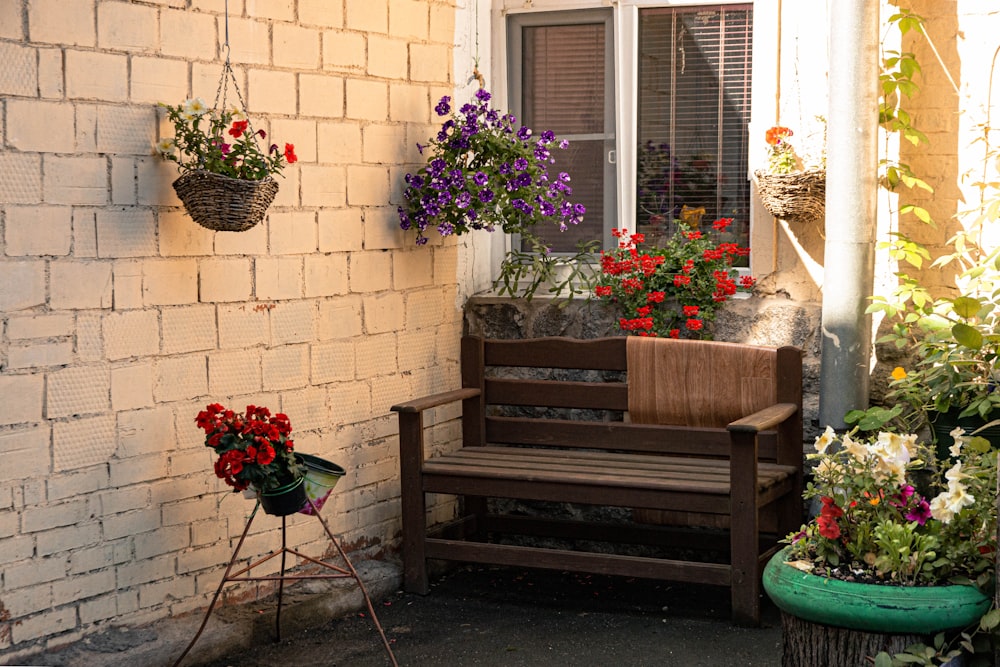 red and white flowers on brown wooden bench