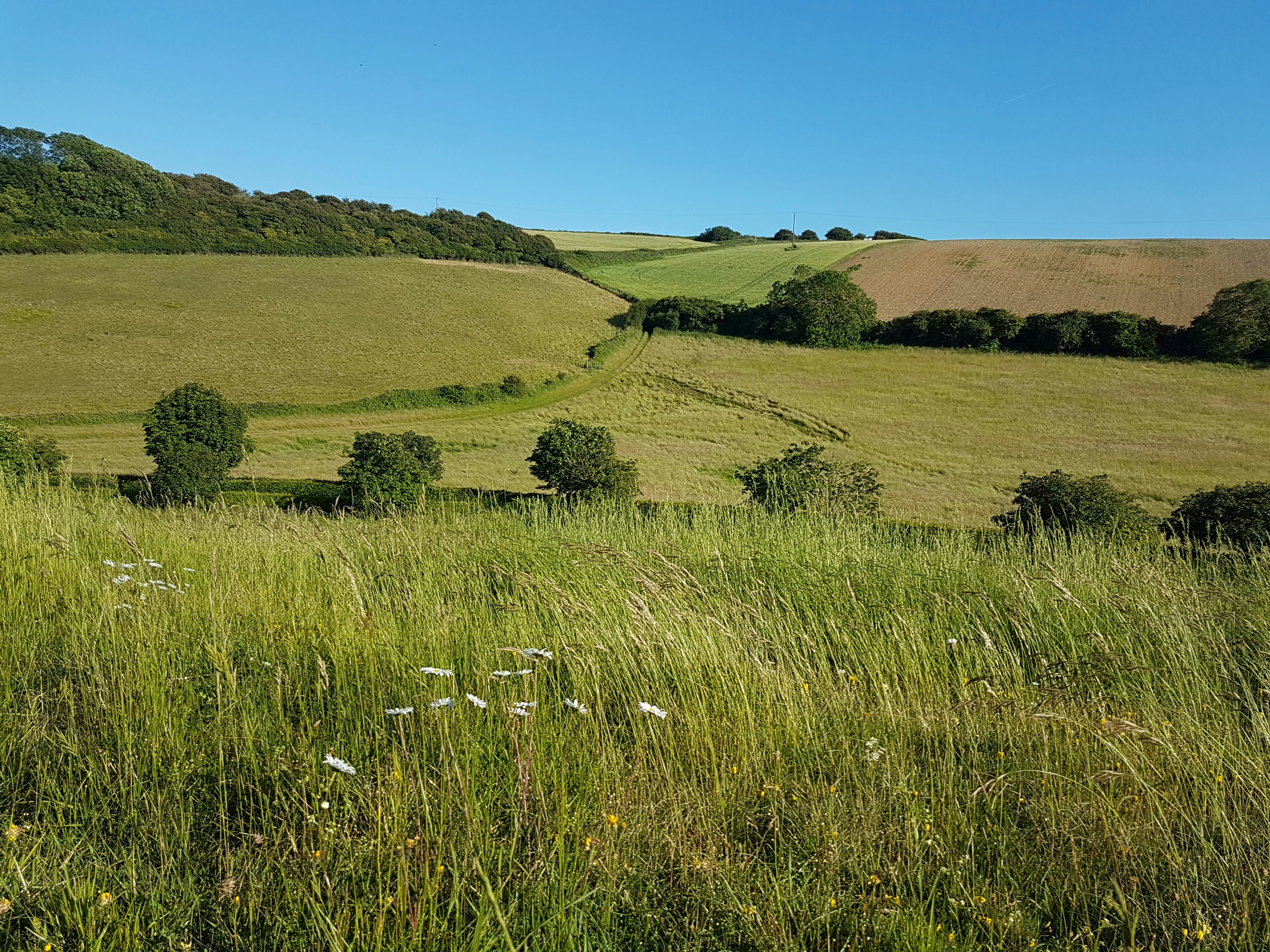 Photo by autumnseaandsun