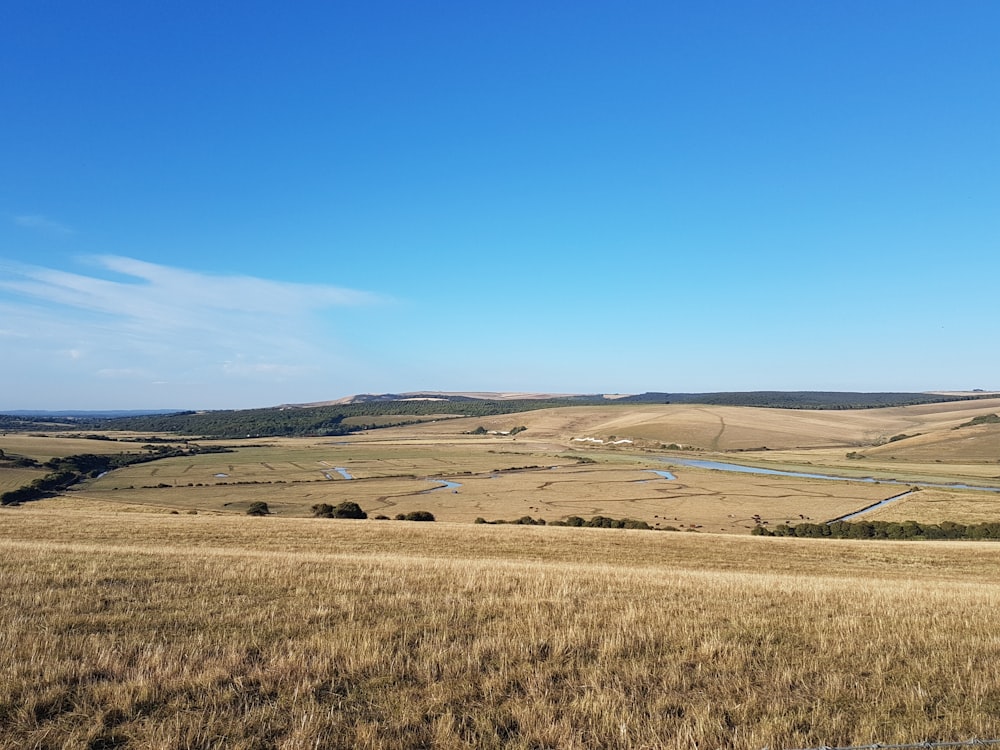 brown field under blue sky during daytime