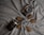 A vintage-style camera and a camera lens are artfully arranged on a textured gray fabric with three decorative pine cones placed around them. The fabric is gathered at the center to create a visually pleasing display.
