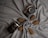 A vintage-style camera and a camera lens are artfully arranged on a textured gray fabric with three decorative pine cones placed around them. The fabric is gathered at the center to create a visually pleasing display.
