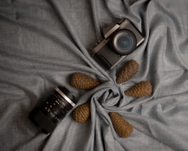 A vintage-style camera and a camera lens are artfully arranged on a textured gray fabric with three decorative pine cones placed around them. The fabric is gathered at the center to create a visually pleasing display.