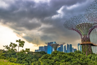 A landscape featuring the futuristic architecture of Supertree Grove set against a backdrop of stormy clouds. Lush green vegetation surrounds the towering structures, while modern skyscrapers in the distance enhance the urban feel.