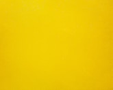 yellow and white color illustration