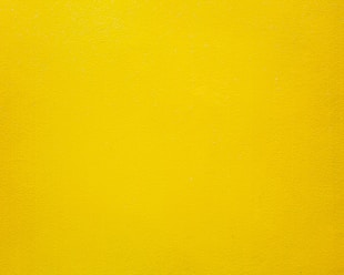 yellow and white color illustration