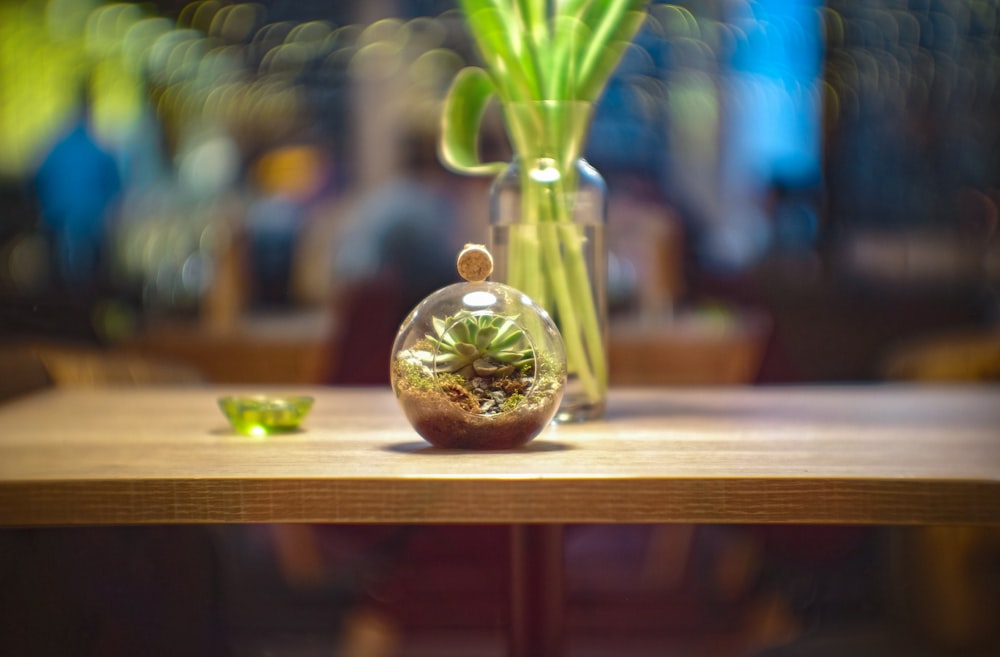 green plant in clear glass vase on brown wooden table