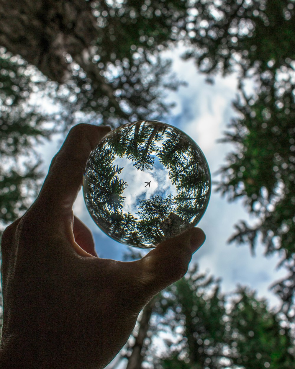 person holding clear glass ball