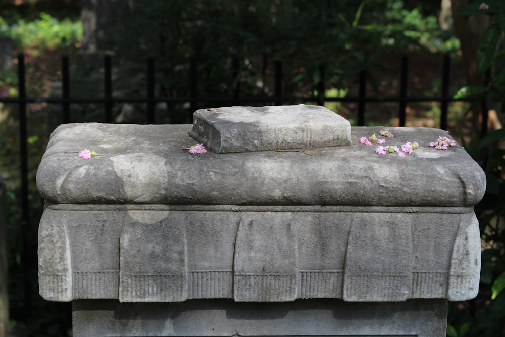gray concrete bench with pink flowers