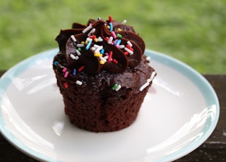 chocolate cake on white ceramic plate