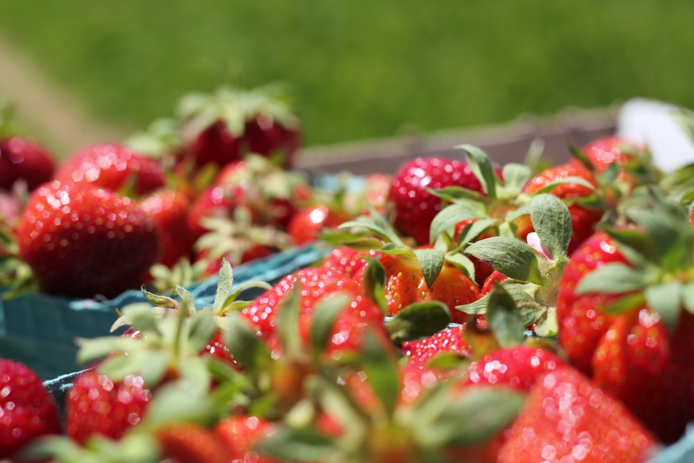 Fraises rouges sur plateau en acier inoxydable