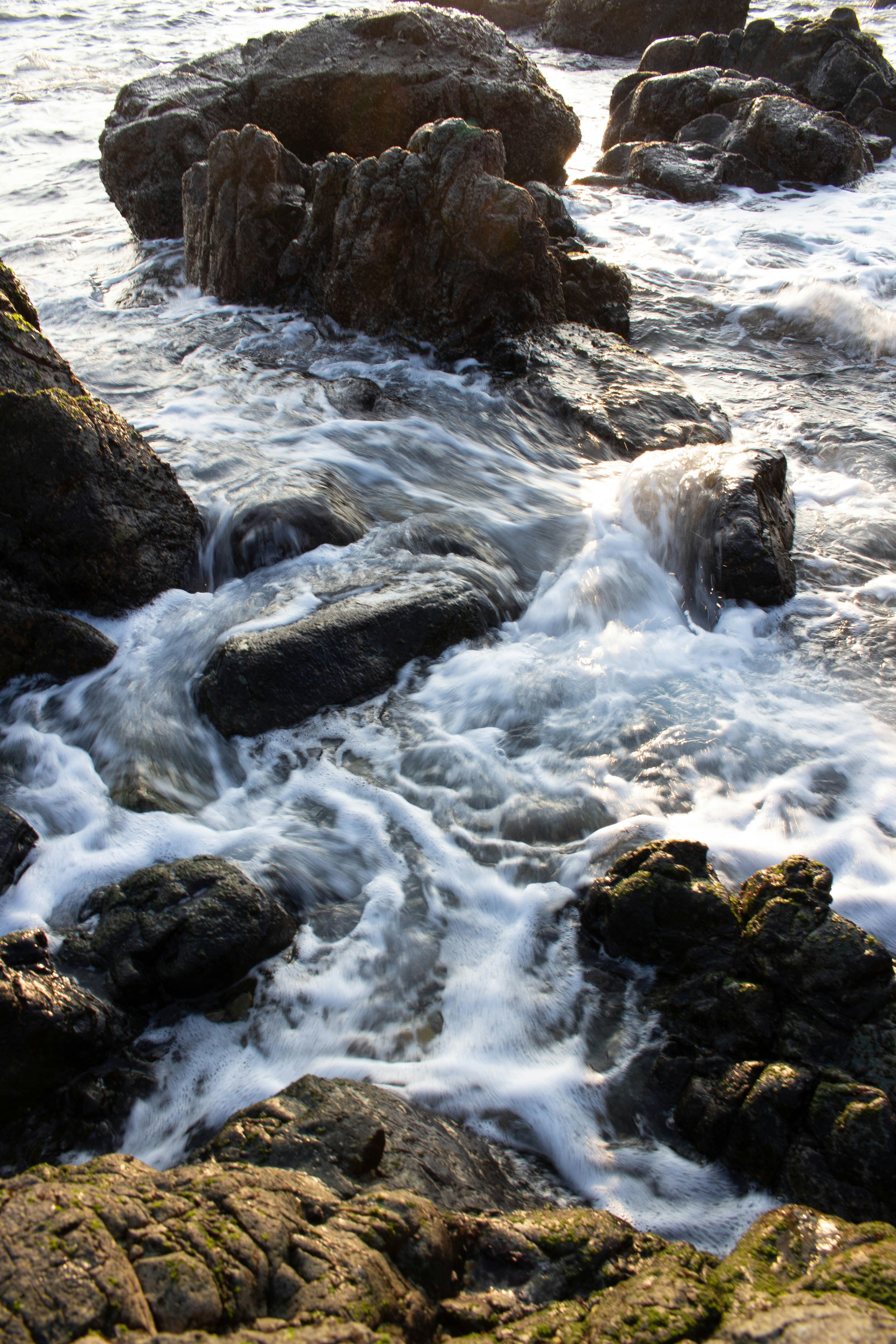 Photo by yousuck_photo