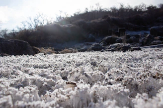 A serene tundra landscape at dawn with soft icy blues and gentle frost textures embracing a quiet, welcoming atmosphere.