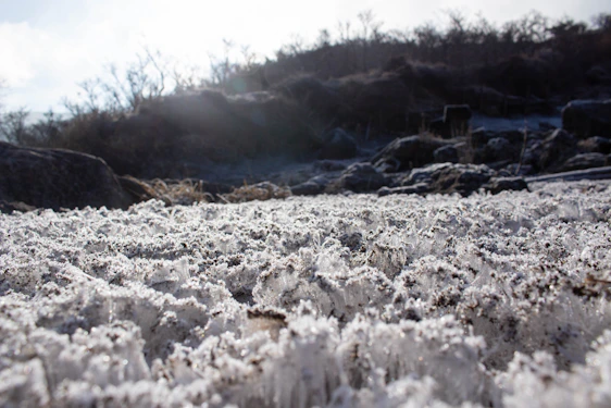 A serene tundra landscape at dawn with soft icy blues and gentle frost textures embracing a quiet, welcoming atmosphere.