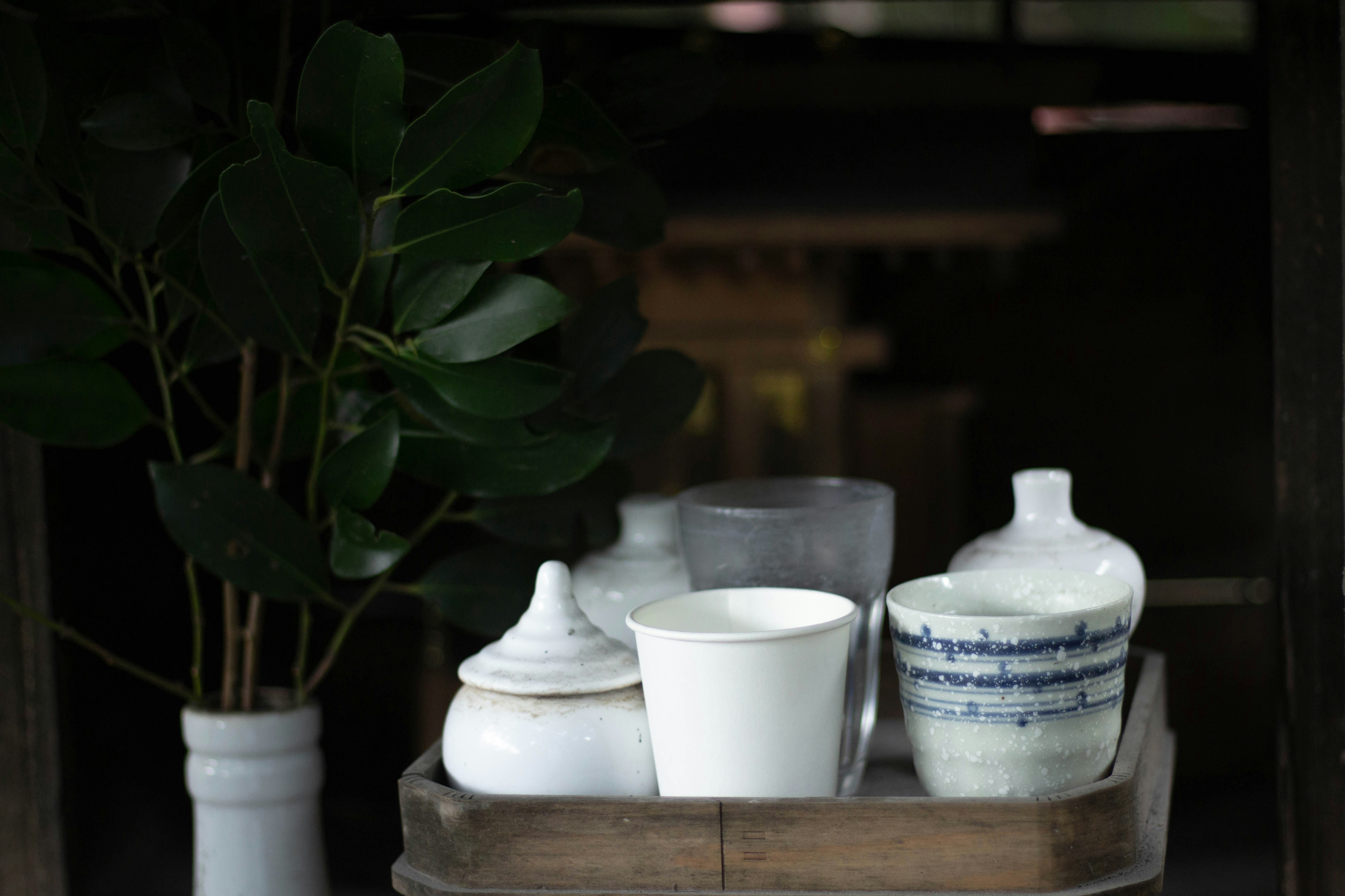 Photo by yousuck_photo