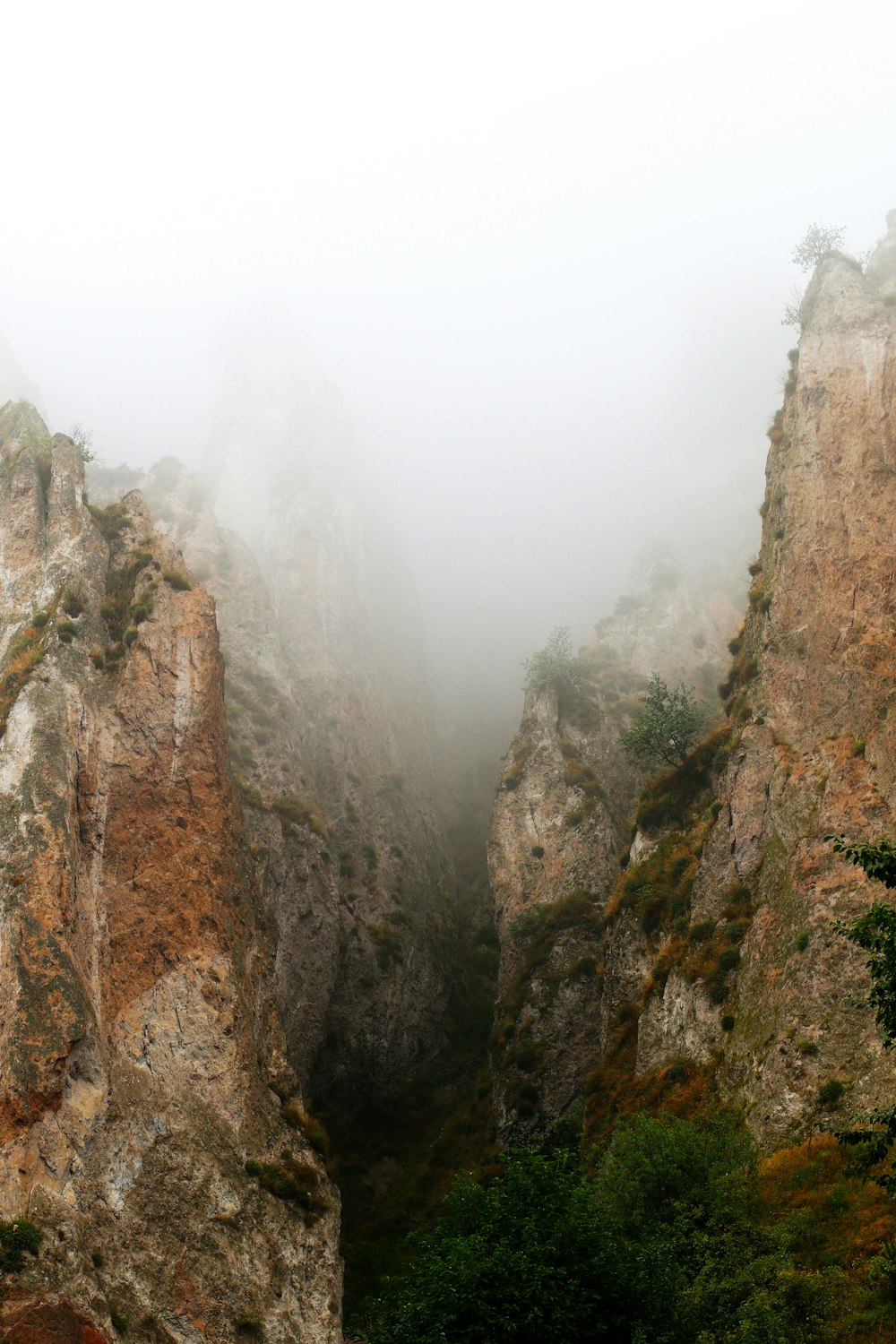 brown rocky mountain with fog