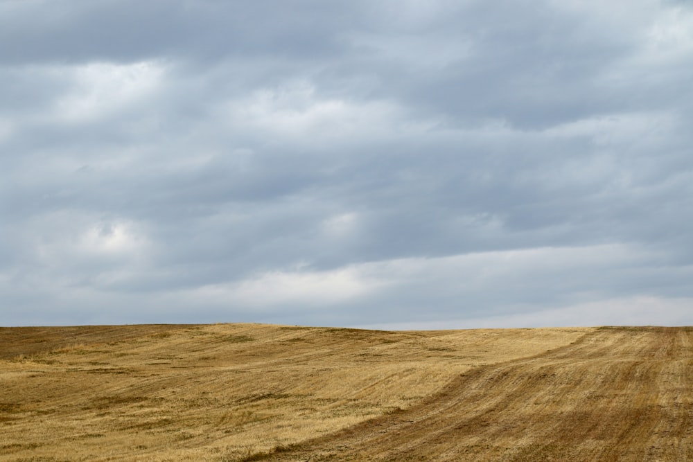 brown field under white clouds