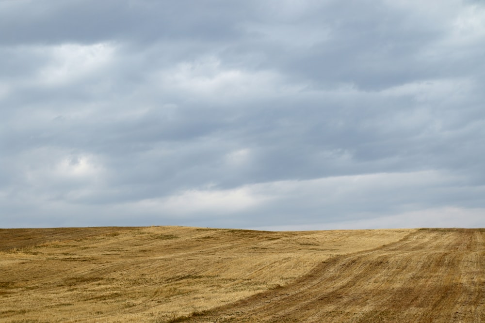 campo marrón bajo nubes blancas